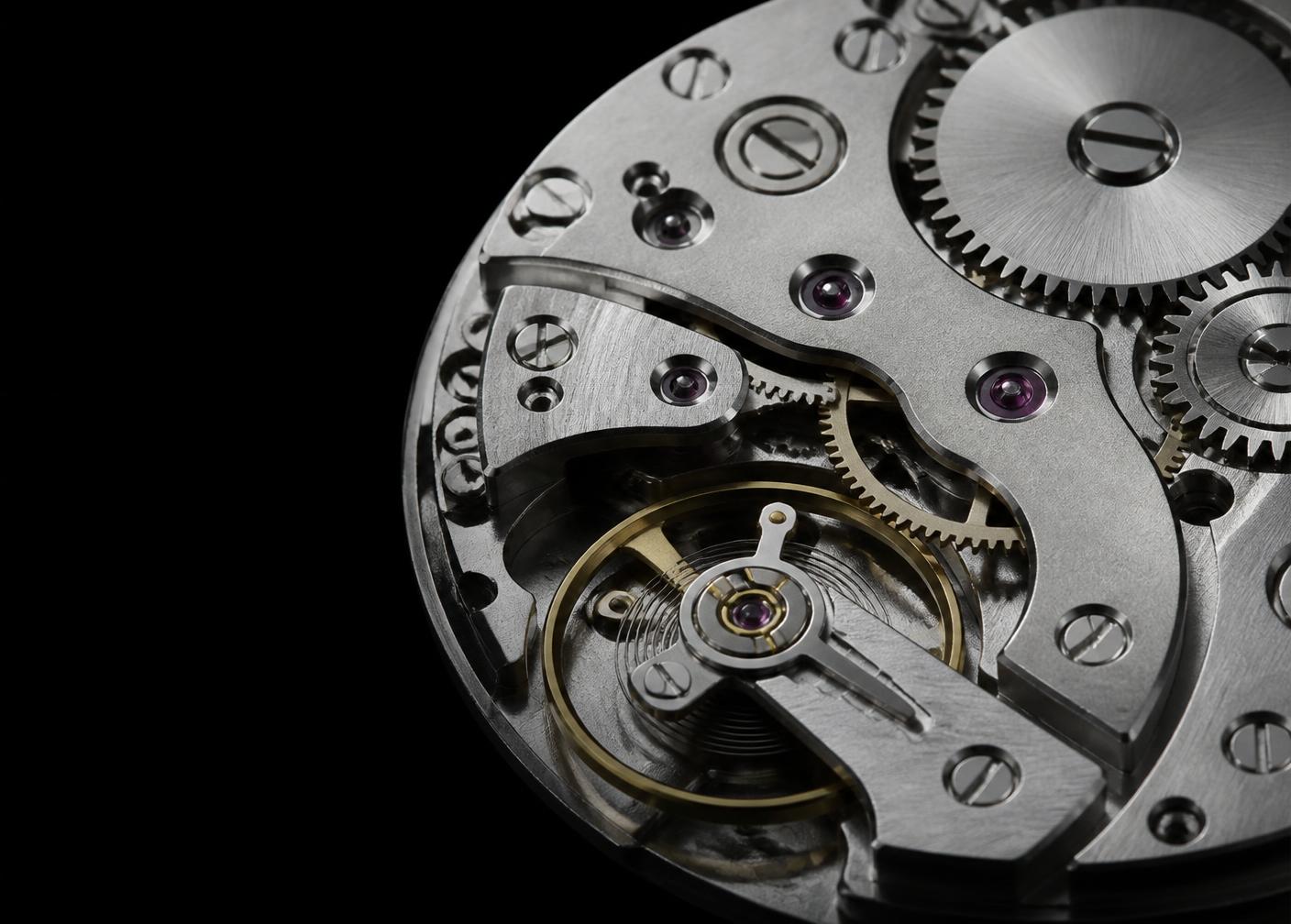 Macro study of a precision mechanism against black